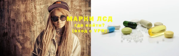 стаф Алзамай