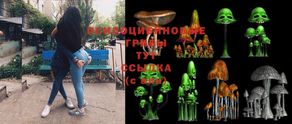 PSILOCYBIN Армянск