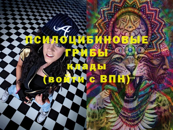 PSILOCYBIN Армянск