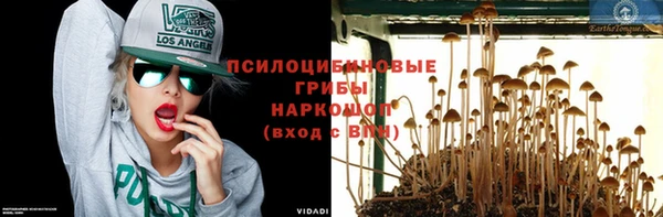 mix Арсеньев