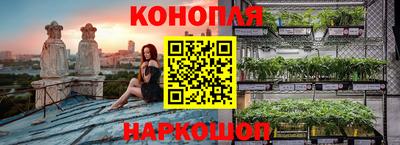 ПСИЛОЦИБИНОВЫЕ ГРИБЫ Канаш