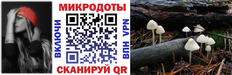 Псилоцибиновые грибы Cubensis Георгиевск