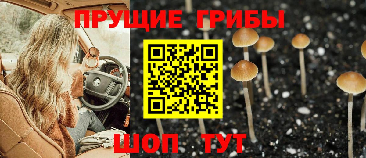 как найти закладки  Галлюциногенные грибы Psilocybine cubensis  Вход с VPN  Георгиевск 