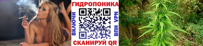 Бошки Шишки LSD WEED  OMG зеркало  Георгиевск  закладки 